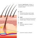 Enzymatyczny peeling do skóry głowy + Serum przeciw wypadaniu włosów SERENOA